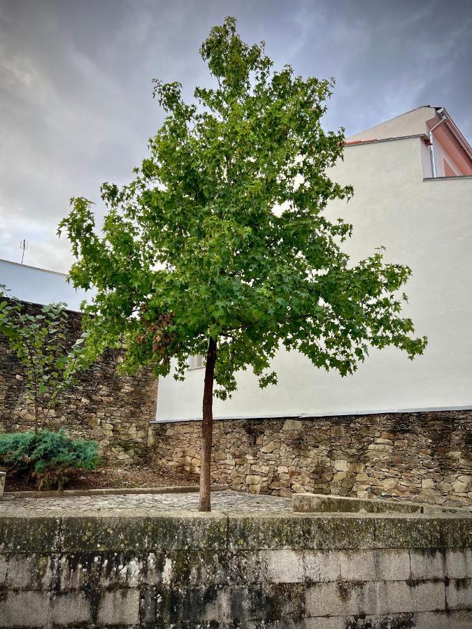 Cantinho Do Castelo Bragança Екстериор снимка